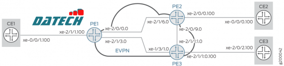 Hướng dẫn triển khai EVPN E-Tree trên thiết bị Juniper Networks