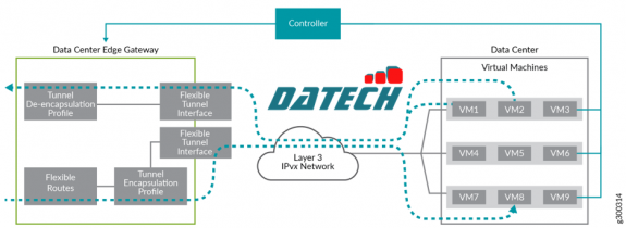 Hiểu về hầm VXLAN linh hoạt có thể lập trình (Programmable Flexible VXLAN Tunnels)
