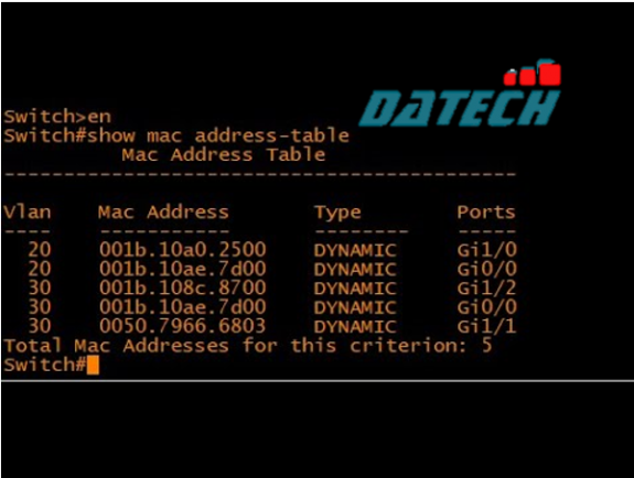 Cách tìm địa chỉ IP từ địa chỉ MAC trên thiết bị Cisco